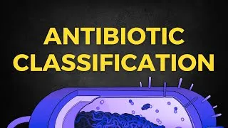 Thumbnail: Antibiotic Classification: Mechanism of Action
