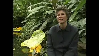 Thumbnail: Chihuly: Gardens & Glass (2004)