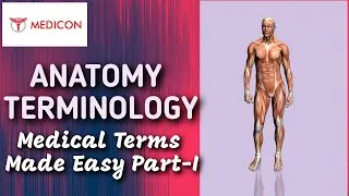 Thumbnail: Medical Terms made easy for Everyone.Part-I