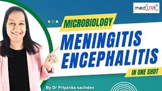 Thumbnail: Diagnostic Algorithm for CNS Infections: Meningitis & Encephalitis | Microbiology