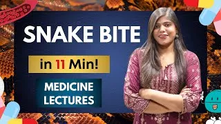 Thumbnail: Snake bite - Etiology, pathology, management| Medicine notes and lectures