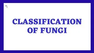 Thumbnail: Classification of Fungi | Types of Mycoses