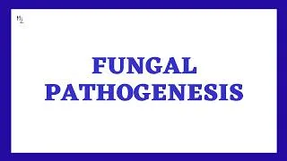Thumbnail: Introduction to Fungal Pathogenesis