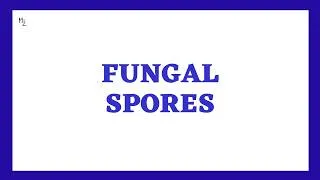 Thumbnail: Fungal spores (Zygospores, Ascospores, Basidiospores, Conidia)