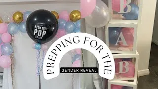 Thumbnail: VLOG: prepping for our GENDER REVEAL!!!