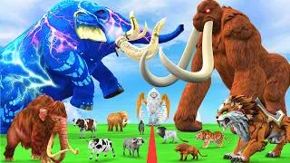Thumbnail: Mammoth Elephant Cow Vs Giant Behemoth Vs Giant Tiger Lion Chase Cow Buffalo Saved By Woolly Mammoth