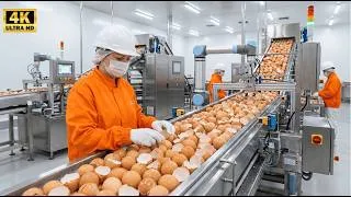 Thumbnail: Inside the 5,000,000 Eggshell Plant – The HYPNOTIC Pulverizing of Modern Calcium Powder Production