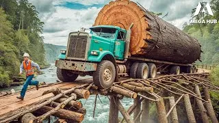 Thumbnail: Most Dangerous Logging Truck Driving Skills | Fastest Chainsaw Tree Cutting! #13
