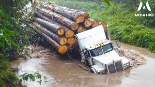 Thumbnail: Most Dangerous Logging Truck Driving Skills | Fastest Chainsaw Tree Cutting! #14