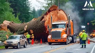Thumbnail: Most Dangerous Logging Truck Driving Skills | Fastest Chainsaw Tree Cutting! #12