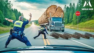 Thumbnail: Most Dangerous Logging Truck Driving Skills | Fastest Chainsaw Tree Cutting! #11