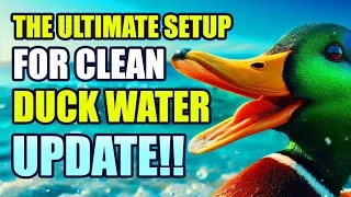 Thumbnail: How to DIY Keep Your Duck Pool Clean and Easy to Maintain UPDATE | Plus Important Duck Tips!