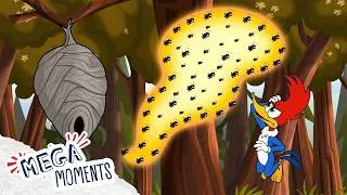 Thumbnail: Woody Escapes a Hoard of Angry Bees 🐝 | Woody Woodpecker | Full Episodes | Mega Moments