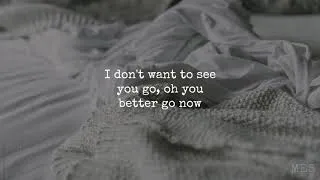Thumbnail: Go Now! | The Moody Blues | Lyrics ☾☀