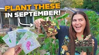 Thumbnail: Plant These Crops in September for an Incredible Fall Harvest!