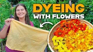 Thumbnail: I Turned My Garden Flowers Into Natural Dye (It Actually Worked!)