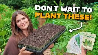 Thumbnail: Plant These Crops in August for an Incredible Fall Harvest!