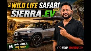 Thumbnail: Tata Sierra Sanctuary Edition Review in Telugu I Most Unique Electric SUV #mehergearhead #automobile