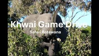Thumbnail: 🇧🇼 "Face to Face with Giants: A Wild Morning Game Drive  in Khwai, Botswana"