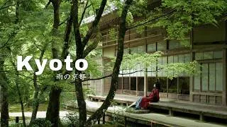 Thumbnail: Kyoto in the rain 🌧️ temples, mossy gardens, hidden forest & cozy tea houses