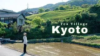 Thumbnail: Exploring the Tea Fields of Wazuka, Kyoto 🌱 Home of Uji Tea | Rural Japan