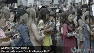 Thumbnail: Doane Uschool Luminato 2018