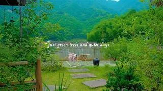 Thumbnail: just green trees and quiet days...(a gentle playlist for quiet days)