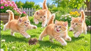 Thumbnail: 🐾🌱Kittens Having Fun Chasing Mice in the Green Meadow | Relaxing Cat Sounds
