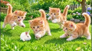 Thumbnail: 🐱🐰Happy Kittens Playing with Little Bunnies on the Green Grass | Meow Sounds | Cat Videos