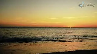 Thumbnail: Serene Piano for Nature Walks – Instrumental Harmony for Outdoor Relaxation #109