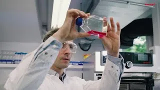 Thumbnail: WEBINAR - Beyond Aging: Revolutionary Research in Cellular Senescence and Regenerative Medicine