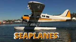 Thumbnail: Seattle Seaplanes at Lake Union | Kenmore Air Takeoffs and Landings. No Narration, Relaxing Music