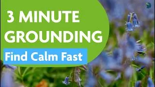 Thumbnail: 3 Minute GROUNDING Mindfulness Exercise | Quick Stress Relief for Busy Professionals | Thriver