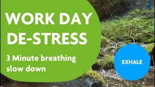 Thumbnail: Feeling Overwhelmed? 2 Minute Calming Breathing Exercise for a Stressful Work Shift