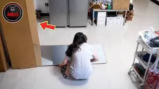 Thumbnail: People Failing Hilariously | Moments when Things Went Wrong | BEST OF MONTH (P57)