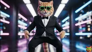 Thumbnail: Cat Dance a Gangnam Style Vibe 😸✌️| MeowBeat Dance Cat