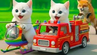 Thumbnail: Mama Cat Trims Fur on the Farm and Makes Tiger Hat For Kittens At Home🐾🎩🐯