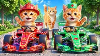 Thumbnail: Mama Cat Trims Fur on the Farm and Makes Tiger Hat For Kittens At Home🐾🎩🐯