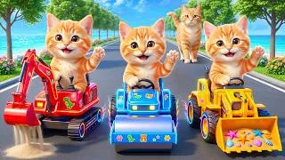 Thumbnail: Mama Cat Trims Fur on the Farm and Makes Tiger Hat For Kittens At Home🐾🎩🐯