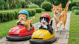 Thumbnail: Mama Cat Trims Fur on the Farm and Makes Tiger Hat For Kittens At Home🐾🎩🐯