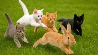 Thumbnail: Agile kittens chase baby rabbits on the grass - Cat sounds - Cat videos