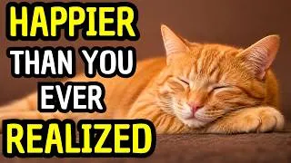 Thumbnail: 9 Signs Your Cat Is Living a Better Life Than You Realize