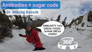 Thumbnail: Why antibody sugar coatings matter