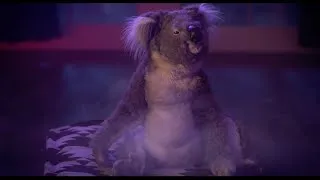 Thumbnail: Exclusive Video: Watch This Koala Bear Hit a Bong in the Upcoming “House Party” Movie