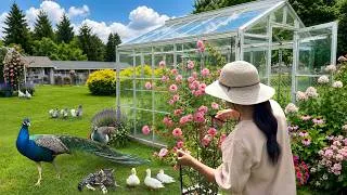 Thumbnail: How Nature Fills Life with Peace, Beauty & Joy 🌸 Rainy Days, the Flavors of Summer & Happy Animals