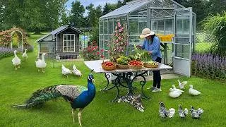 Thumbnail: How Can Life Be So Beautiful? 🌸 My Summer Wonderland, First Taste of the Season & Happy Animals