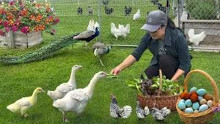 Thumbnail: Embrace the Peace & Beauty of Spring 🌿 Organic Gardens, First Harvest Meals & My Animal Family