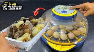 Thumbnail: 27 Eggs Full Automatic Mini Egg incubator - Hatched chicks