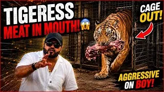 Thumbnail: Aylice nay sara kam hi harab kar dia😱larkay nay ander say door lock kar dia😳(mian saqib)
