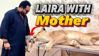 Thumbnail: Laira meet her mother😰butt diana say asi uneed nahi thi😱(mian saqib)